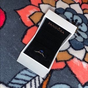 ❣︎ Sterling Silver Pandora Ring ❣︎